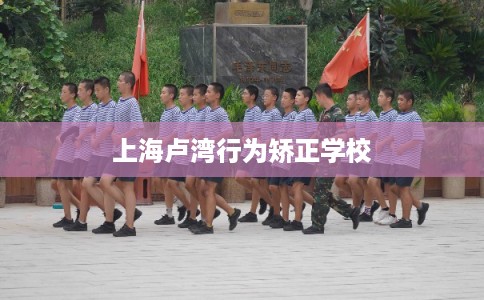 上海卢湾行为矫正学校