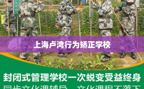 上海卢湾行为矫正学校