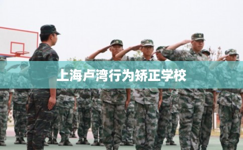 上海卢湾行为矫正学校