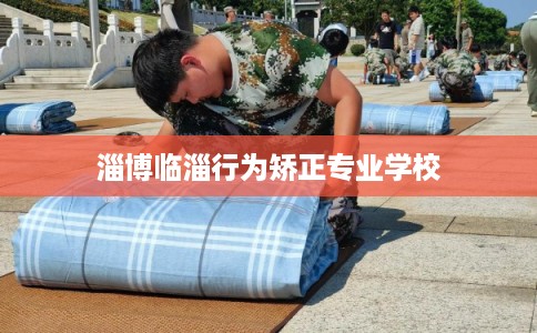 淄博临淄行为矫正专业学校