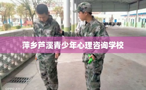 萍乡芦溪青少年心理咨询学校