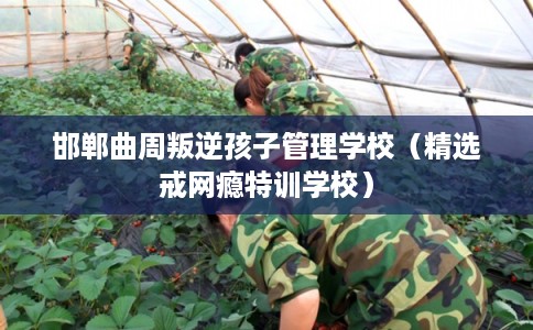 邯郸曲周叛逆孩子管理学校（精选戒网瘾特训学校）