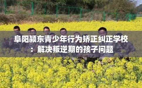 阜阳颍东青少年行为矫正纠正学校：解决叛逆期的孩子问题