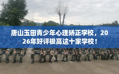唐山玉田青少年心理矫正学校，2026年好评极高这十家学校！