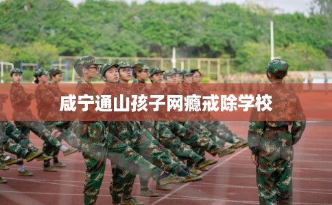 咸宁通山孩子网瘾戒除学校