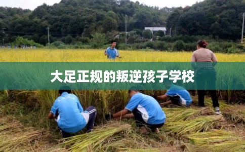 大足正规的叛逆孩子学校