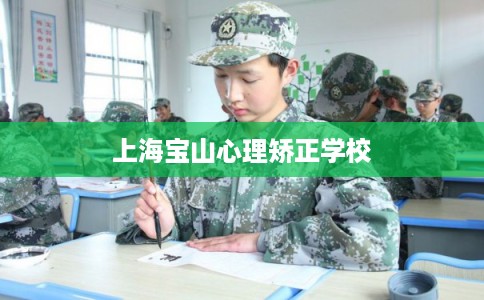 上海宝山心理矫正学校