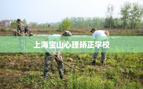 上海宝山心理矫正学校