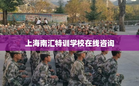 上海南汇特训学校在线咨询