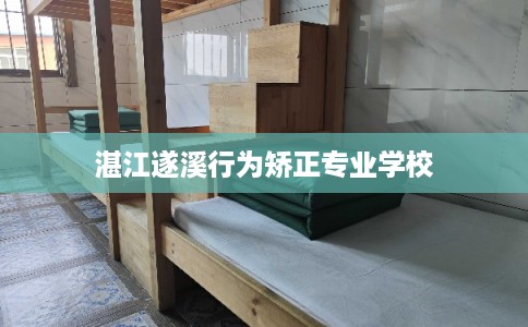 湛江遂溪行为矫正专业学校