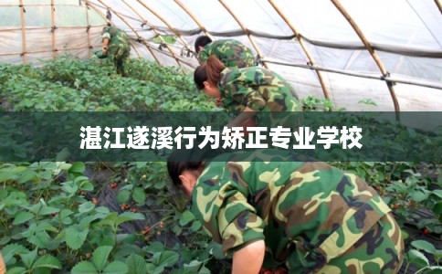 湛江遂溪行为矫正专业学校
