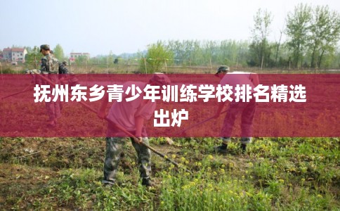 抚州东乡青少年训练学校排名精选出炉