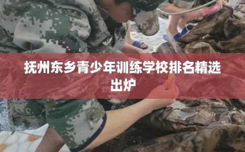 抚州东乡青少年训练学校排名精选出炉