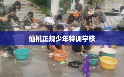 仙桃正规少年特训学校