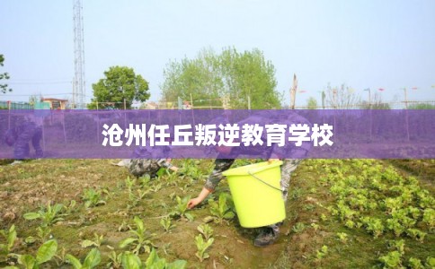 沧州任丘叛逆教育学校