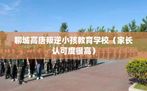 聊城高唐叛逆小孩教育学校（家长认可度很高）