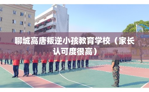 聊城高唐叛逆小孩教育学校（家长认可度很高）