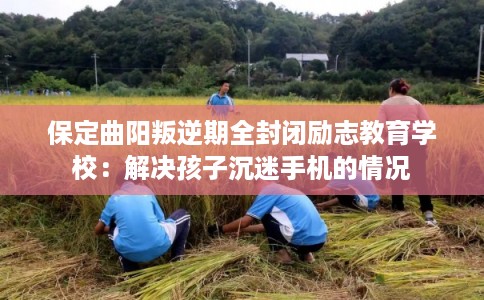 保定曲阳叛逆期全封闭励志教育学校：解决孩子沉迷手机的情况