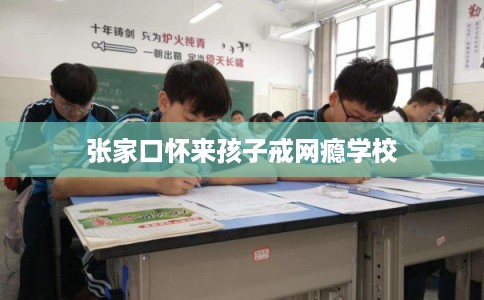 张家口怀来孩子戒网瘾学校