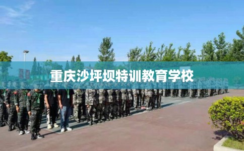 重庆沙坪坝特训教育学校