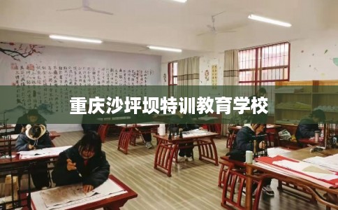 重庆沙坪坝特训教育学校