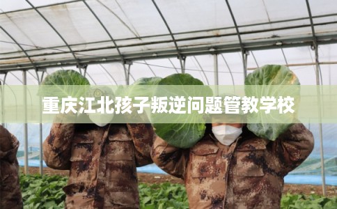 重庆江北孩子叛逆问题管教学校