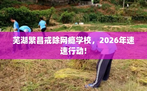 芜湖繁昌戒除网瘾学校，2026年速速行动!
