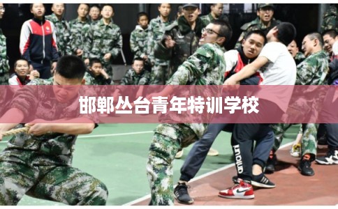 邯郸丛台青年特训学校