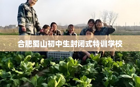 合肥蜀山初中生封闭式特训学校