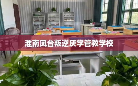 淮南凤台叛逆厌学管教学校