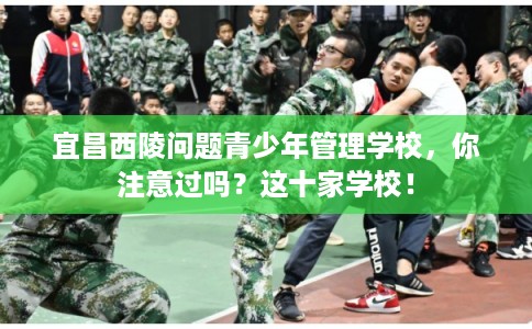 宜昌西陵问题青少年管理学校，你注意过吗？这十家学校！