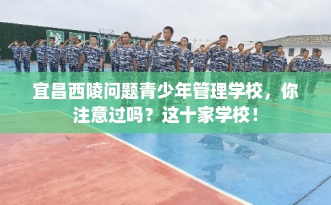 宜昌西陵问题青少年管理学校，你注意过吗？这十家学校！