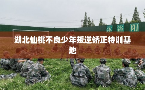 湖北仙桃不良少年叛逆矫正特训基地