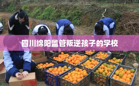 四川绵阳监管叛逆孩子的学校