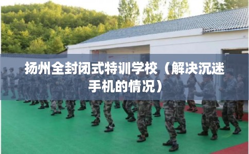 扬州全封闭式特训学校（解决沉迷手机的情况）