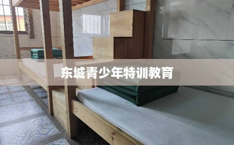 东城青少年特训教育