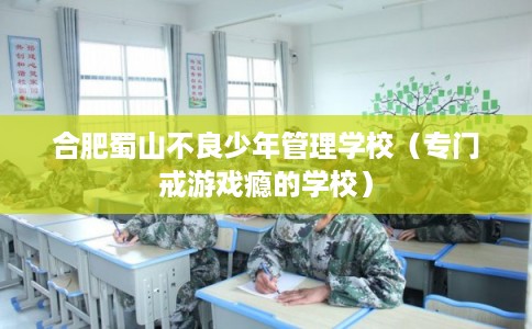 合肥蜀山不良少年管理学校（专门戒游戏瘾的学校）