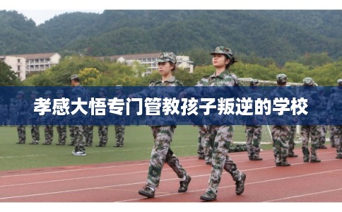 孝感大悟专门管教孩子叛逆的学校