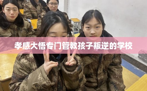 孝感大悟专门管教孩子叛逆的学校