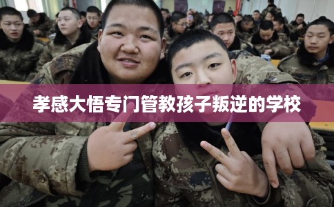 孝感大悟专门管教孩子叛逆的学校