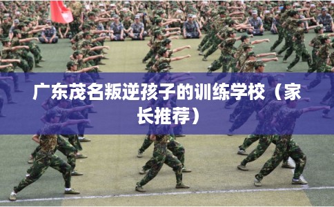 广东茂名叛逆孩子的训练学校（家长推荐）