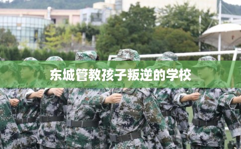 东城管教孩子叛逆的学校