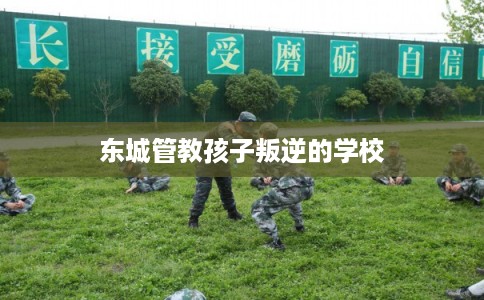 东城管教孩子叛逆的学校