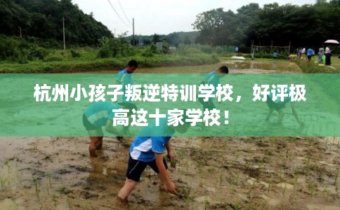 杭州小孩子叛逆特训学校，好评极高这十家学校！