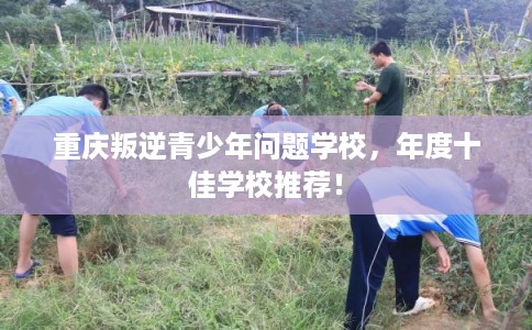 重庆叛逆青少年问题学校，年度十佳学校推荐！