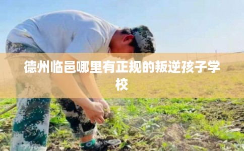 德州临邑哪里有正规的叛逆孩子学校