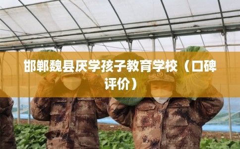邯郸魏县厌学孩子教育学校（口碑评价）