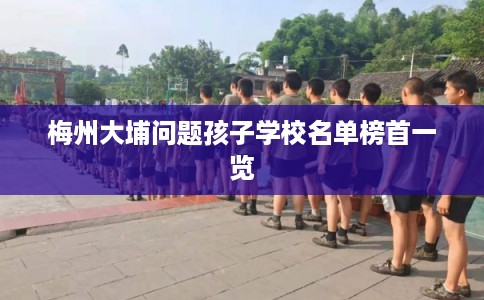 梅州大埔问题孩子学校名单榜首一览