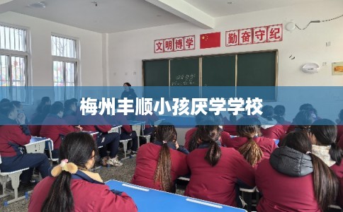 梅州丰顺小孩厌学学校