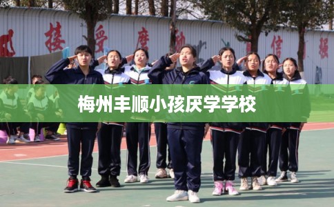梅州丰顺小孩厌学学校